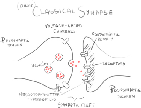 Classical Synapse